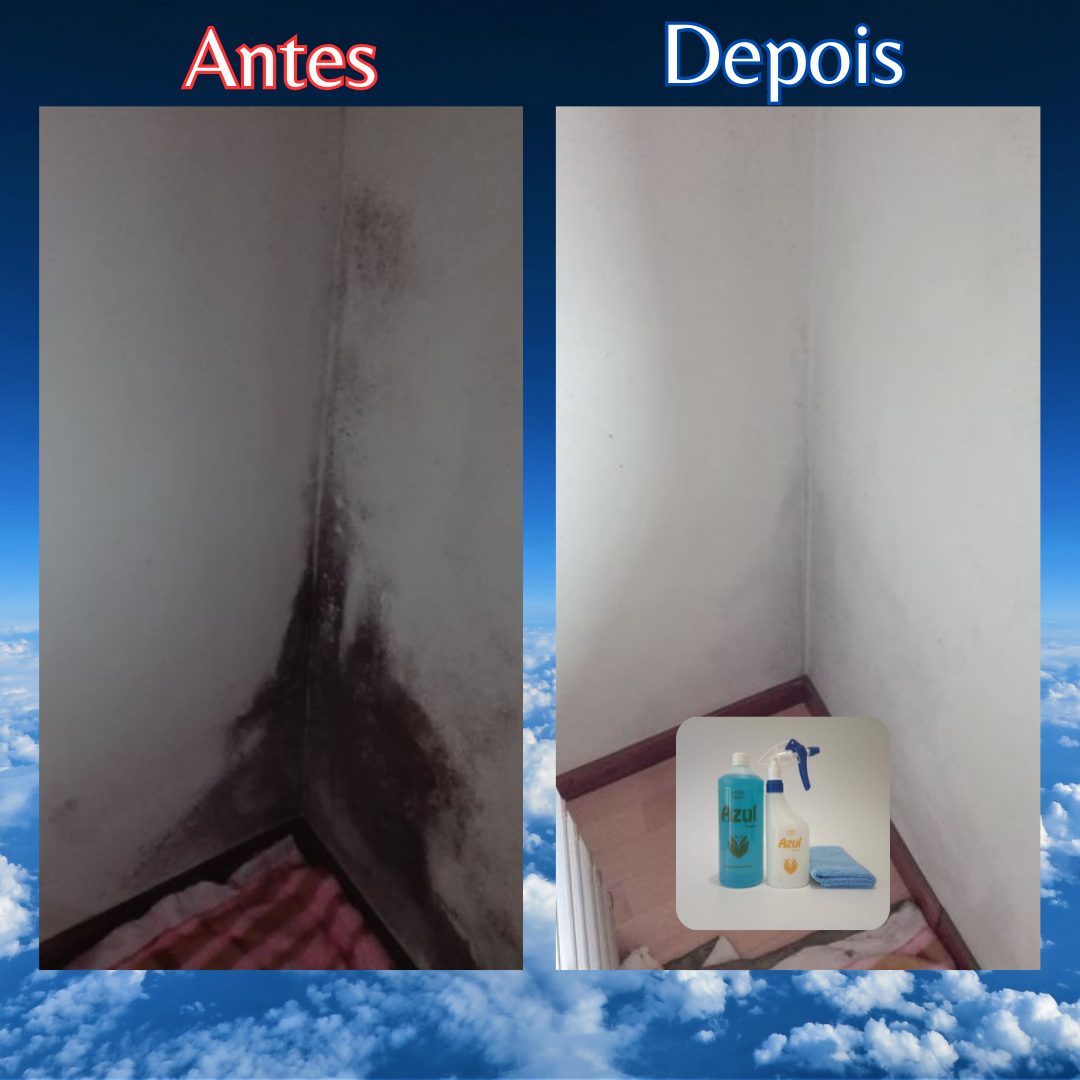 Limpeza de mofo em paredes antes e depois